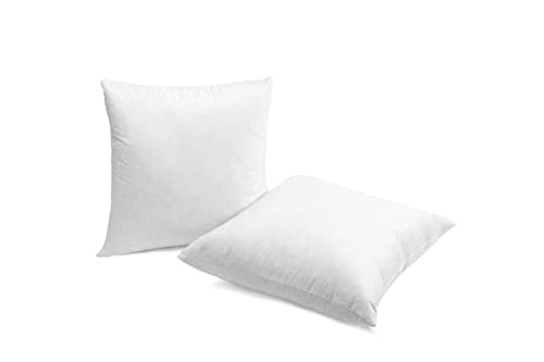 Luxury Goose Down Pillow Inserts, 20x20IN, Ultra-Soft, High Fill Weight, Pack of 2, White