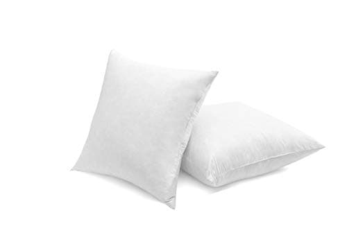 Luxury Goose Down Pillow Inserts, 20x20IN, Ultra-Soft, High Fill Weight, Pack of 2, White