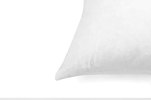 Luxury Goose Down Pillow Inserts, 20x20IN, Ultra-Soft, High Fill Weight, Pack of 2, White