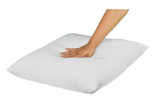 Hypoallergenic 23x23 Inch Pillow Insert for Sofa Shams and Decorative Pillows