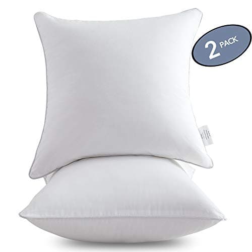 Leeden 20x20 Inch Pillow Inserts - White, Decorative Pair