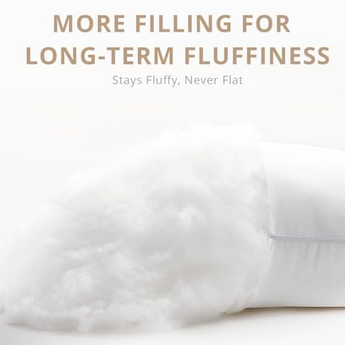 18x18 White Soft Fluffy Down Alternative Throw Pillow Insert Set