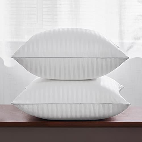 Oubunun White Down Alternative 18x18 Throw Pillows, Pack of 2