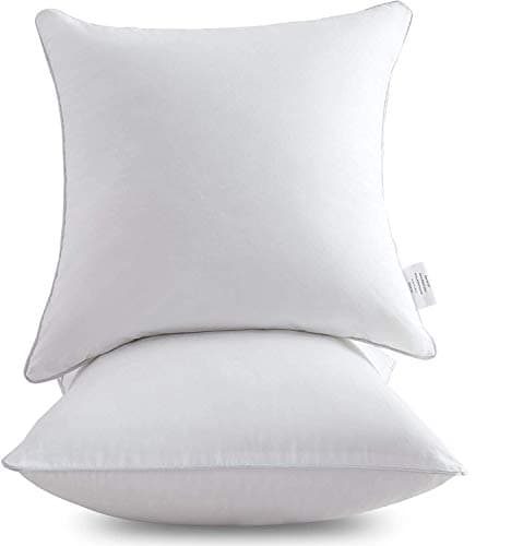 Leeden 20x20 Inch Pillow Inserts - White, Decorative Pair