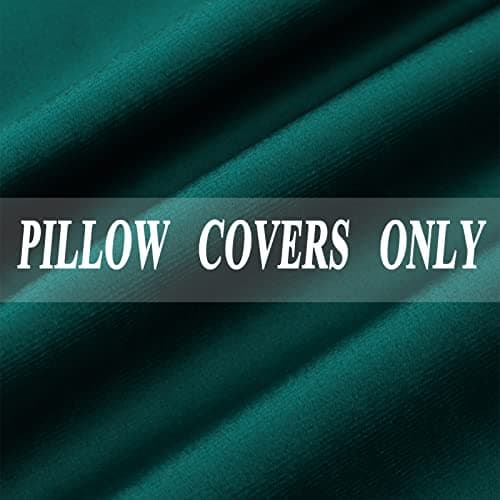 JIAHANNHA Velvet Brown Throw Pillow Covers for Living Room Couch 18x18 Inches