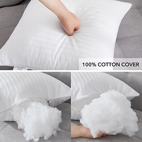 Oubunun White Down Alternative 18x18 Throw Pillows, Pack of 2