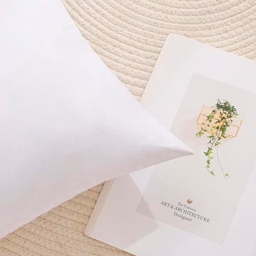 Gold Goose 24x24 WhiteDown and Feather Pillow Inserts,2 Packs,Soft Cover