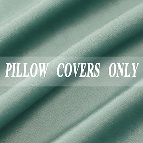 JIAHANNHA Velvet Brown Throw Pillow Covers for Living Room Couch 18x18 Inches