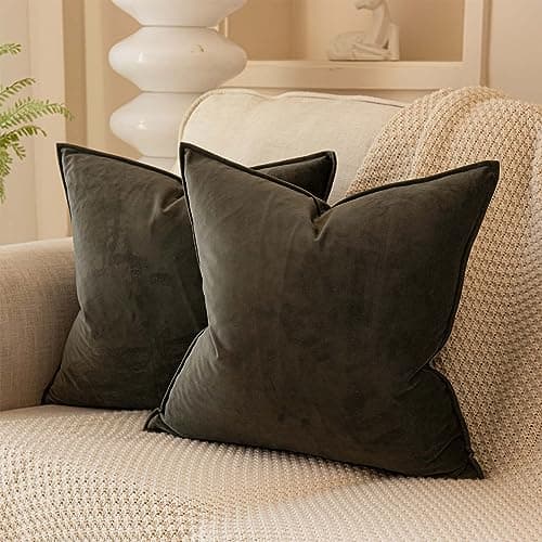 JUSPURBET Velvet Throw Pillow Covers 20x20 Inch Set of 2