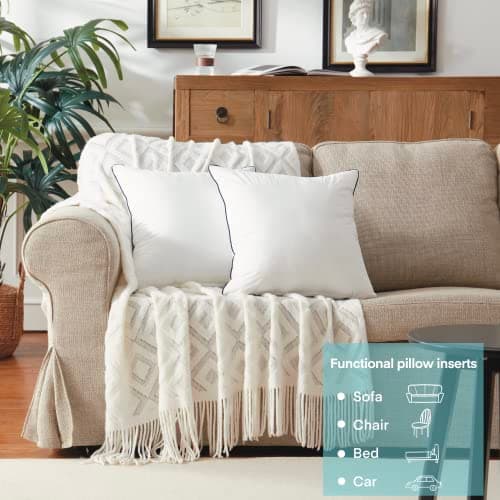 20x20 Inch Cotton Covered Pillow Inserts, Set of 2