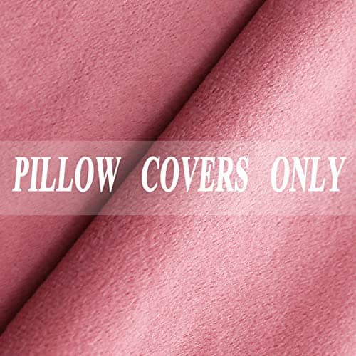 JIAHANNHA Velvet Brown Throw Pillow Covers for Living Room Couch 18x18 Inches
