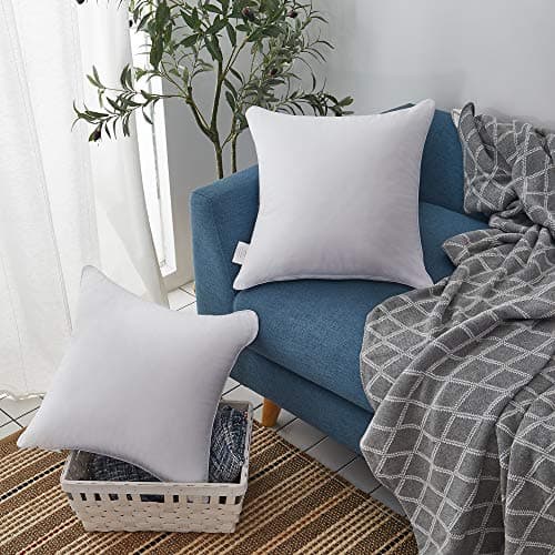 Leeden 20x20 Inch Pillow Inserts - White, Decorative Pair
