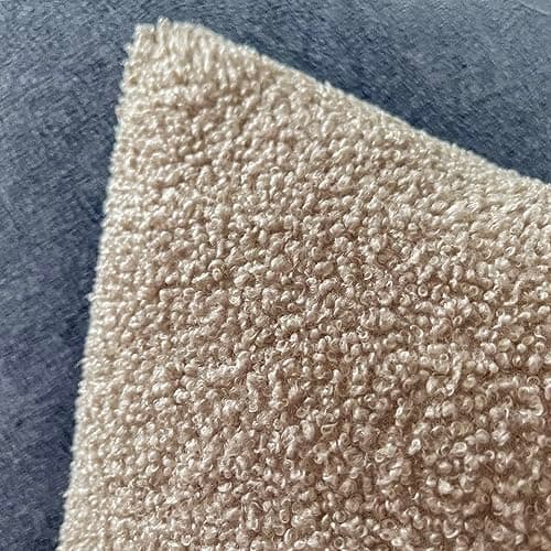 Cozy Curly Faux Fur Pillow Covers, Pack of 2, 20 x 20 Inch - Beige